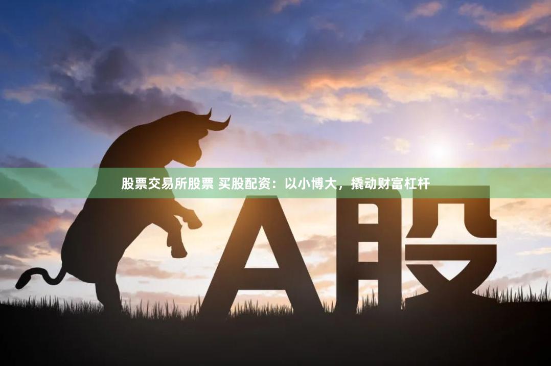 股票交易所股票 买股配资：以小博大，撬动财富杠杆