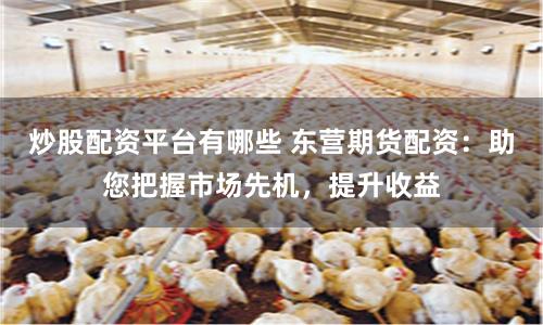 炒股配资平台有哪些 东营期货配资：助您把握市场先机，提升收益
