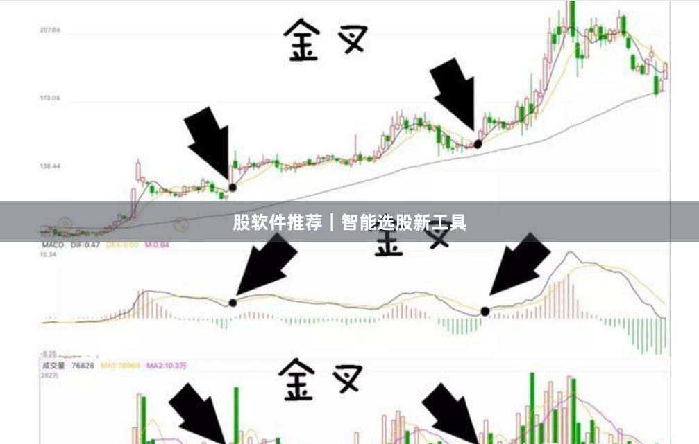 股软件推荐｜智能选股新工具