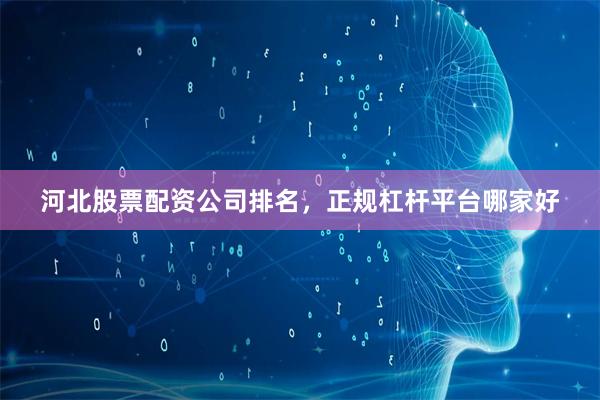 河北股票配资公司排名，正规杠杆平台哪家好