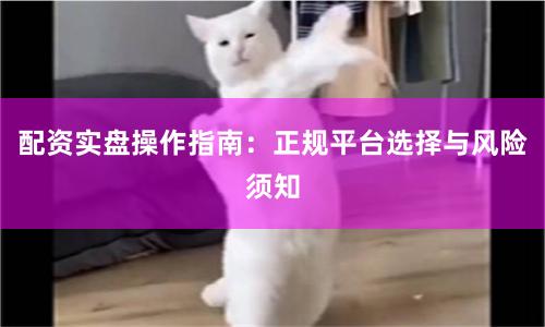 配资实盘操作指南：正规平台选择与风险须知